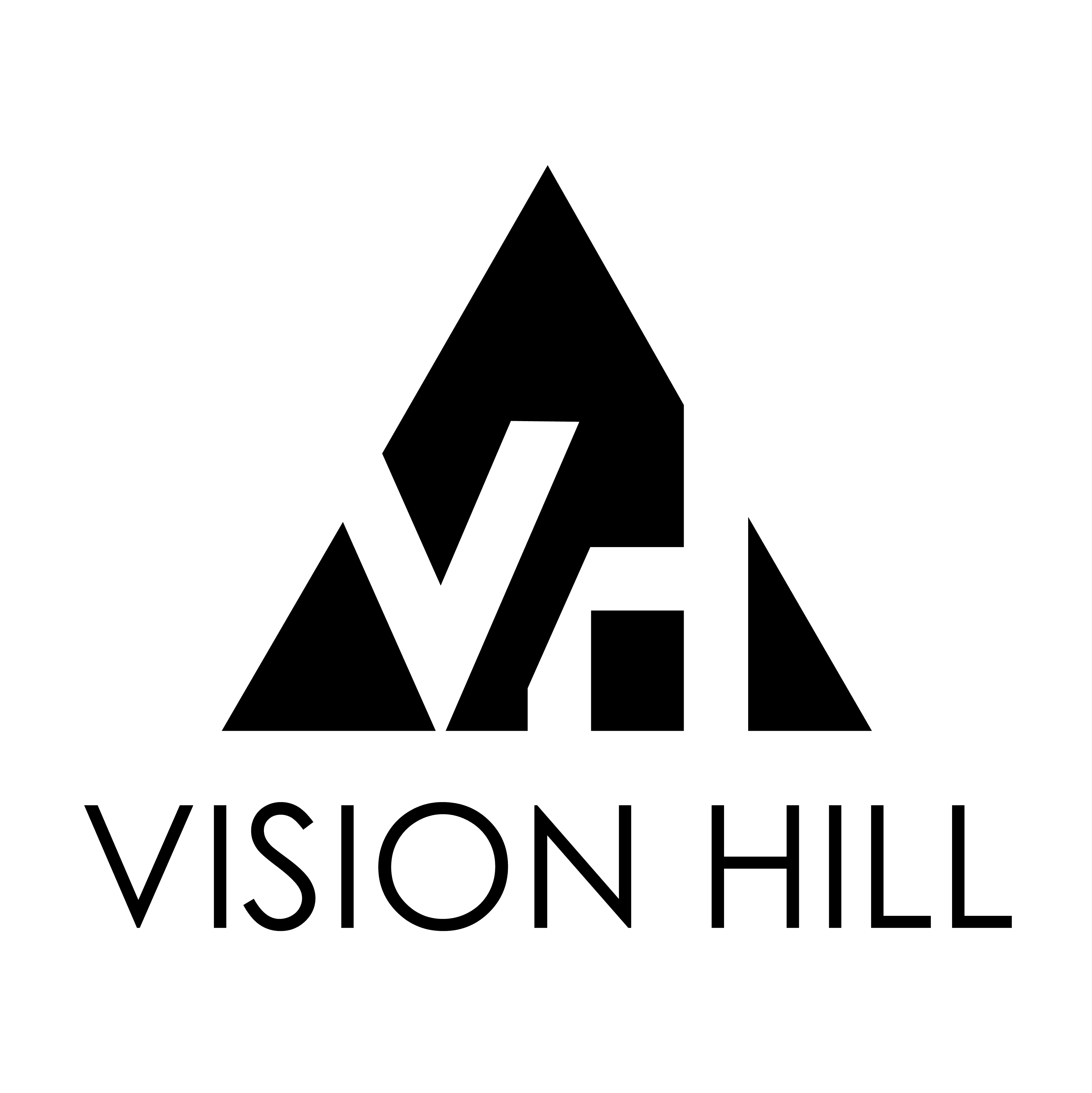 VISION HILL SPÓŁKA Z OGRANICZONĄ ODPOWIEDZIALNOŚCIĄ-logo