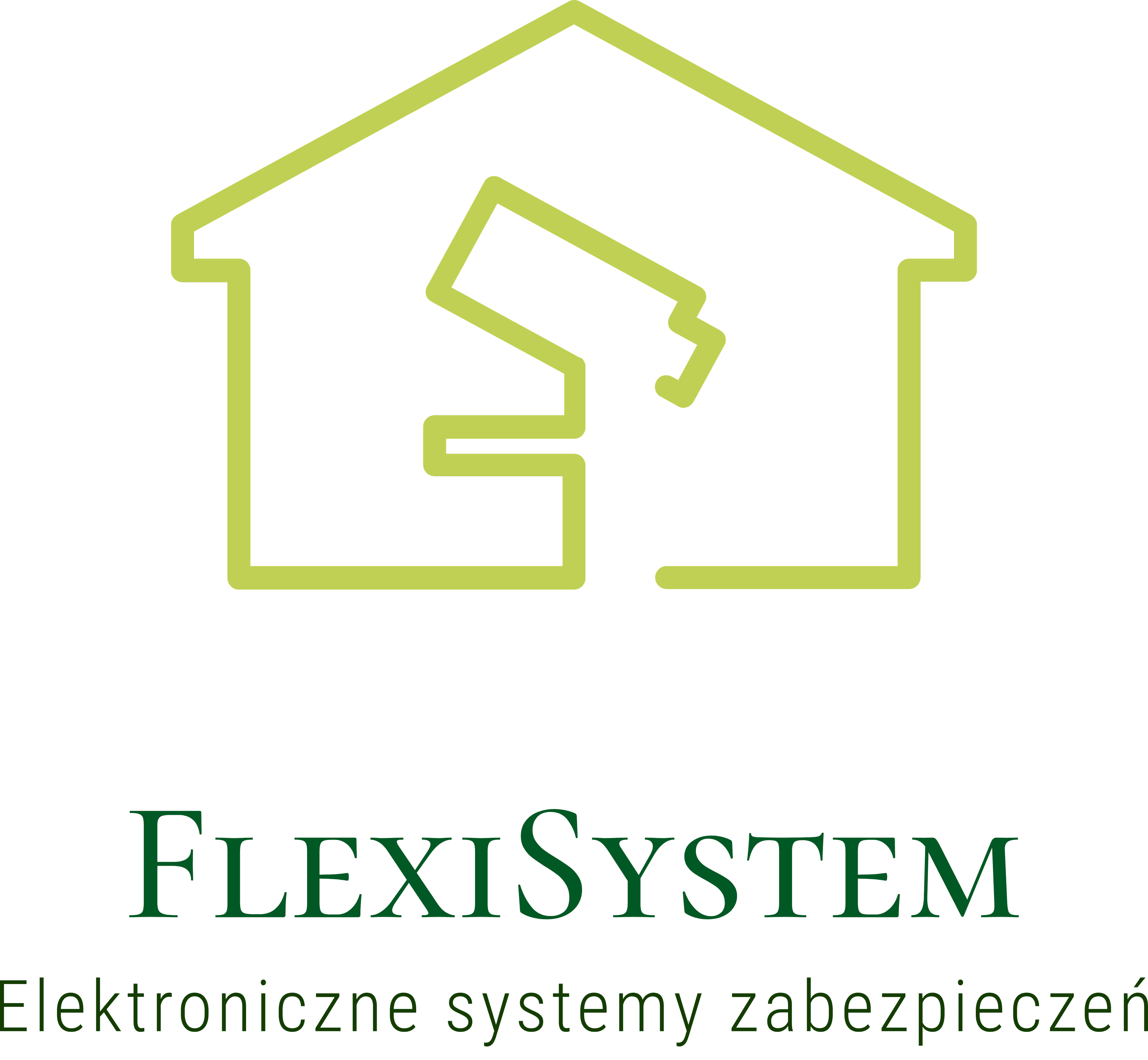 FLEXISYSTEM RAFAŁ PEŁKA ELEKTRONICZNE SYSTEMY ZABEZPIECZEŃ-logo