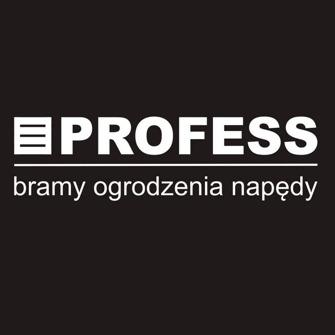PROFESS SPÓŁKA JAWNA MICHAŁ KRAWCZYK, KATARZYNA MUCHA-logo